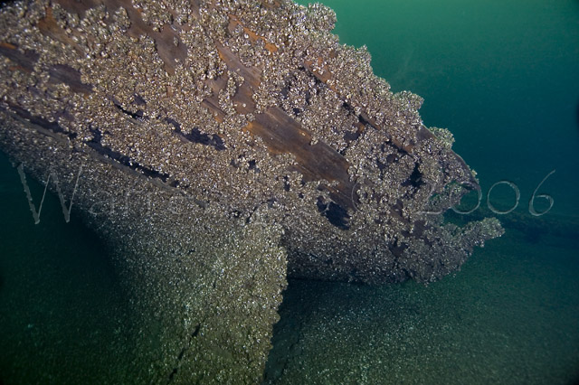 tiller-24jun2006-09.jpg
